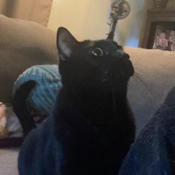 Meet your Posher, Sheri - Picture 6 of 6